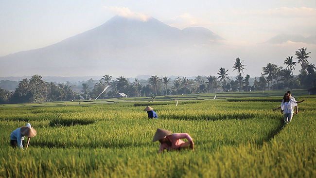 Discovering Bali's Last Wild Frontier: The Tabanan Regency