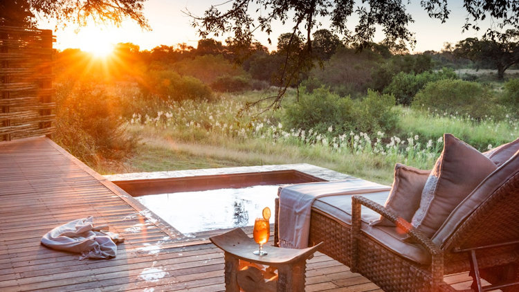 A Dream Safari at Dulini River Lodge