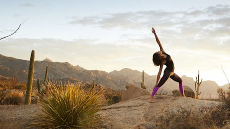 Lexus Unveils 'Wellness Destinations' to Nurture Mind, Body and Spirit 