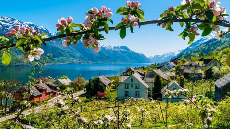 Up Norway Launches Mystery Surprise Trips of a Lifetime