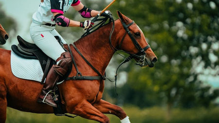 Polo Season in Argentina at Casas Latinas