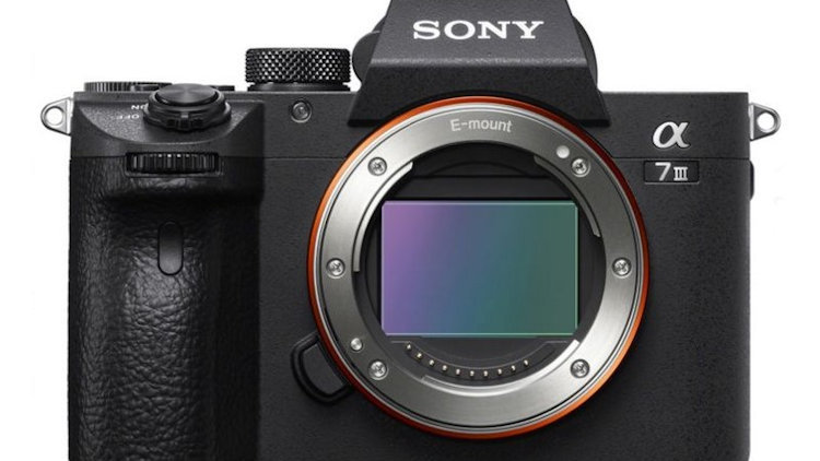 Demystifying Mirrorless Cameras: A Comprehensive Guide for Photography Enthusiasts 