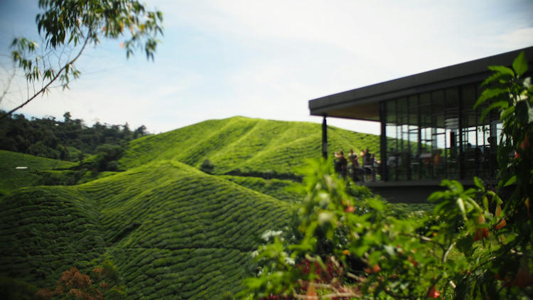 Eco-Exploration: Discovering Malaysia’s Natural Wonders