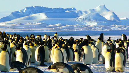 The Best Places to Visit on a Luxury Antarctica Cruise