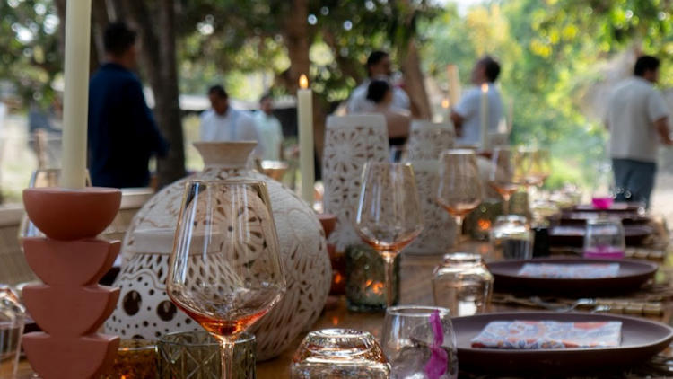 Exclusive Farm-to-Table Culinary Adventure in Cabo Unveiled by Mar del Cabo