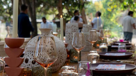 Exclusive Farm-to-Table Culinary Adventure in Cabo Unveiled by Mar del Cabo