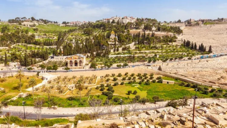 Negev Jeep Tour: Your Guide to the Ultimate Desert Adventure