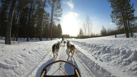 Top Once-in-a-Lifetime Luxury Experiences in Rovaniemi, Lapland, Finland