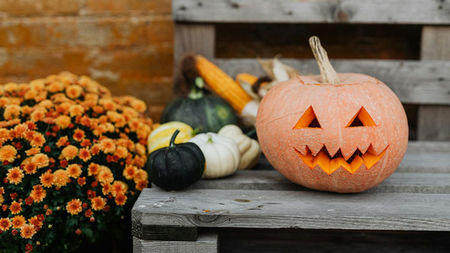 Why Halloween Is the Perfect Time to Send Flowers (And Which Bouquets to Choose)