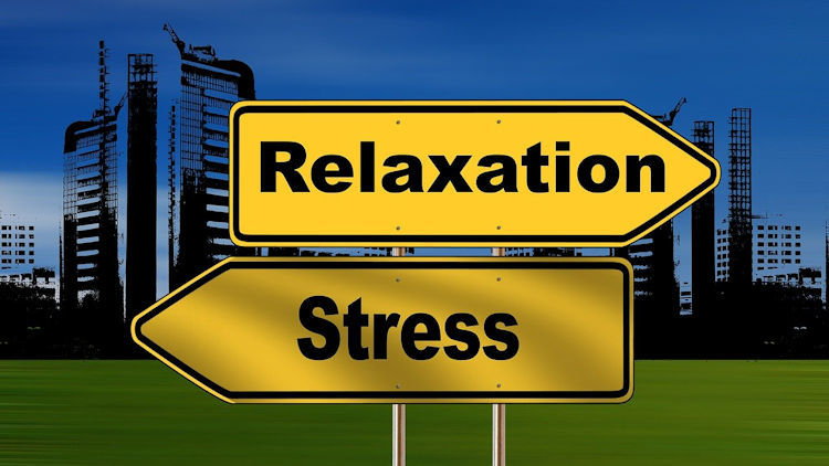 Frequent Travel Patterns That Increase Anxiety Risk