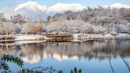Planning Your Winter Vacation? Here is Why You Should Visit South Korea in Winter