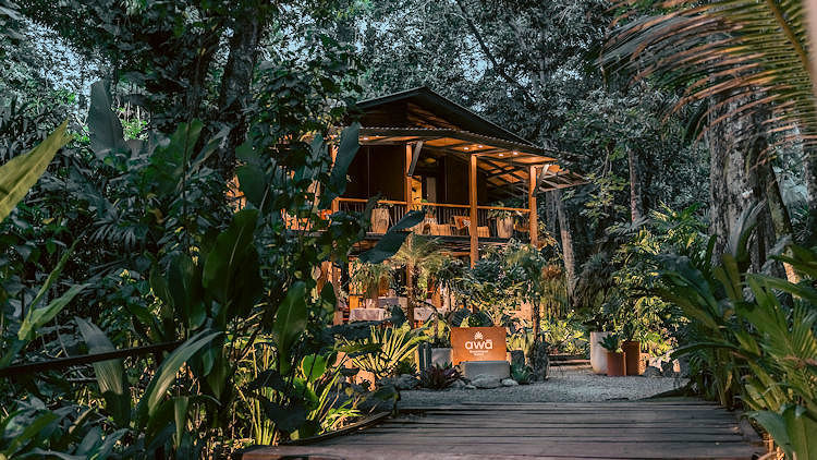 Crafted by Nature: The Most Immersive Stay at awa Beachfront Hotel Punta Uva Costa Rica
