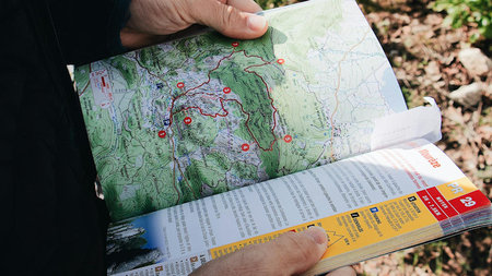 Websites Every Traveler Should Bookmark Before Going Abroad