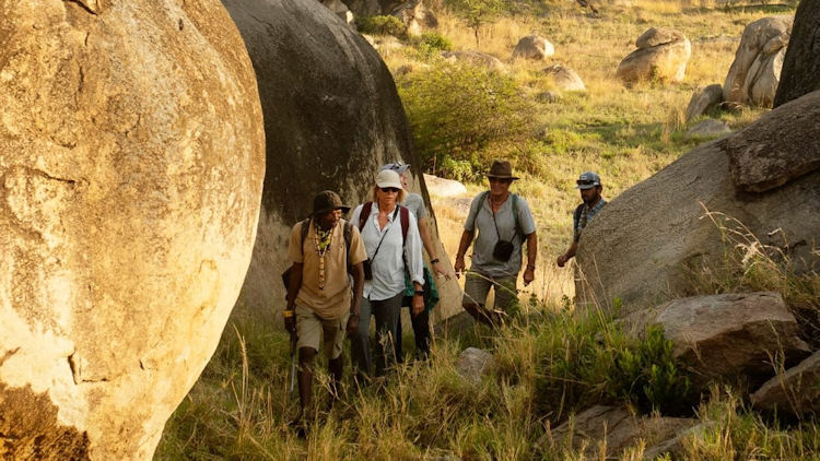 The New Definition of Luxury: Silence, Space, and Seamlessness in the African Bush