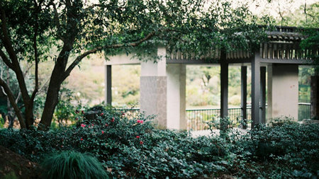 Awning or Pergola: Which Is the Best Choice for My Home?