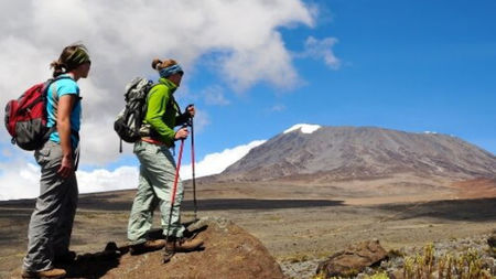 African Safari Tanzania and Mount Kilimanjaro Climbing: Wild Adventure and High Mountain Journey