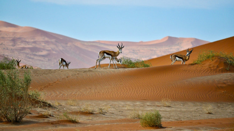 Exploring Africa's Most Distinctive Wilderness Landscapes