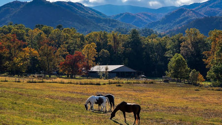 Why the Great Smoky Mountains National Park Belongs on Every Traveler’s Bucket List