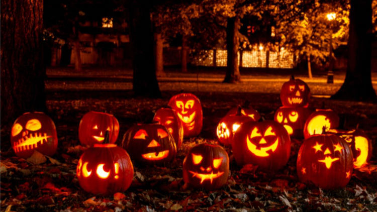 Behind the Scenes: How Five-Star Hotels Prepare for the Halloween Season