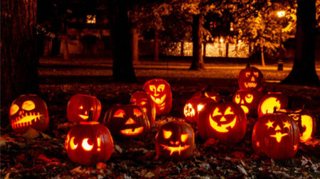 Behind the Scenes: How Five-Star Hotels Prepare for the Halloween Season