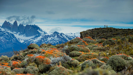 Tierra Patagonia Opens for the 2026 Season with New Experiences of Chile’s Torres del Paine