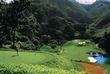 Golf Resorts & Lodges