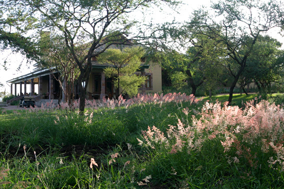 Singita Sasakwa Lodge - Grumeti Reserves, Serengeti, Tanzania - Luxury Safaris-slide-7