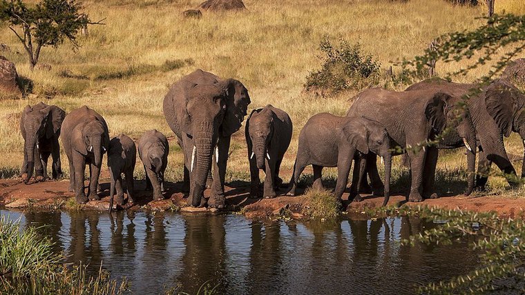 Four Seasons Safari Lodge Serengeti, Tanzania-slide-1