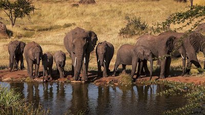 Four Seasons Safari Lodge Serengeti, Tanzania