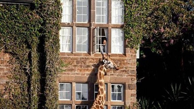 Giraffe Manor - Nairobi, Kenya - Luxury Safari Lodge-slide-7