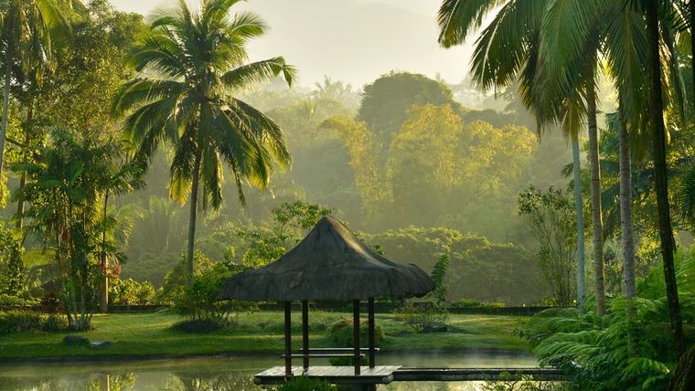 The Farm at San Benito, Philippines Wellness Retreat-slide-16