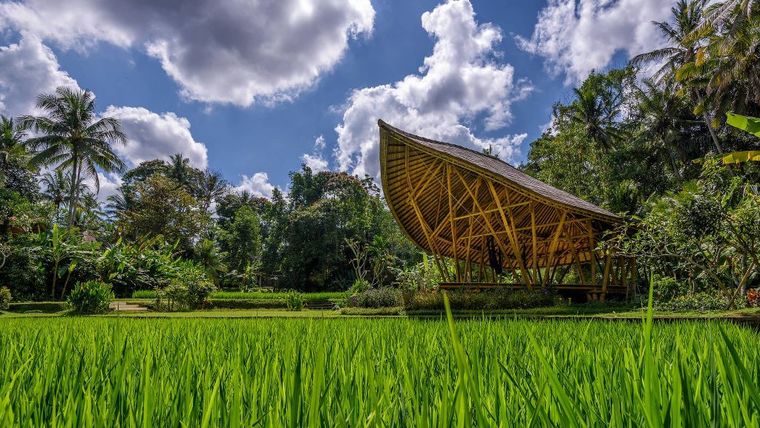 Four Seasons Resort Bali at Sayan - Ubud, Bali, Indonesia-slide-14