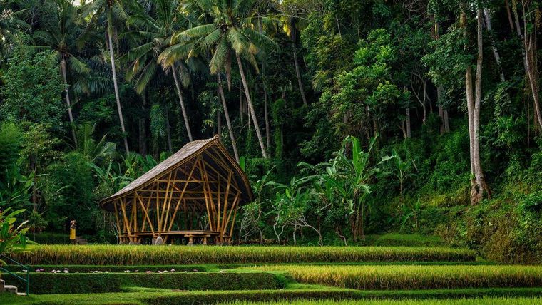 Four Seasons Resort Bali at Sayan - Ubud, Bali, Indonesia-slide-12