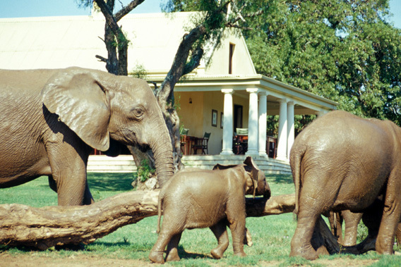 Gorah Elephant Camp - Addo Elephant National Park, South Africa - Relais & Chateaux-slide-3