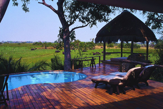 Mombo Camp & Little Mombo - Moremi Reserve, Okavango Delta, Botswana-slide-14