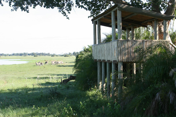 Mombo Camp & Little Mombo - Moremi Reserve, Okavango Delta, Botswana-slide-12