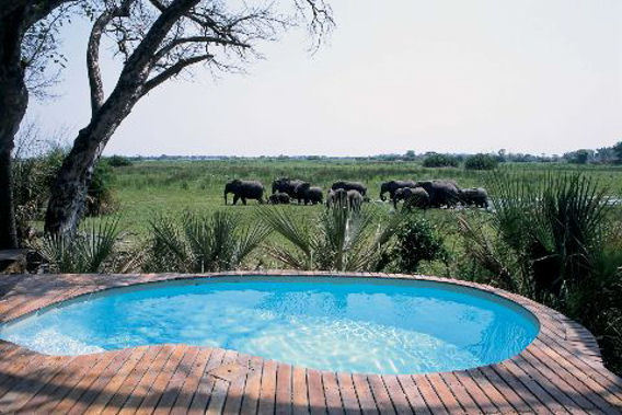 Mombo Camp & Little Mombo - Moremi Reserve, Okavango Delta, Botswana-slide-1