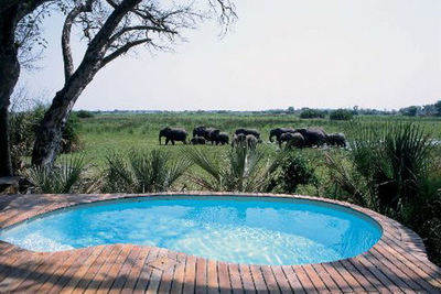 Mombo Camp & Little Mombo - Moremi Reserve, Okavango Delta, Botswana