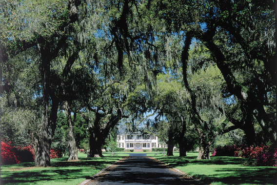 Oceanfront Litchfield Inn - Pawleys Island, South Carolina-slide-3