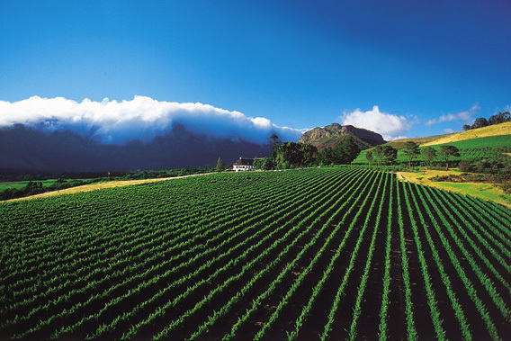 Mont Rochelle Hotel & Mountain Vineyards - Franschhoek, South Africa-slide-3