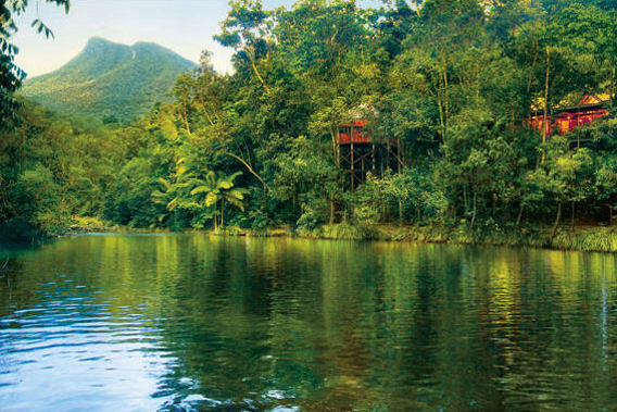Silky Oaks Lodge - Daintree National Rainforest, Queensland, Australia - Luxury Spa Resort-slide-18