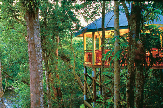 Silky Oaks Lodge Daintree National Rainforest Queensland - 