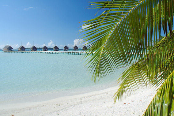 COMO Cocoa Island - Maldives - 5 Star Luxury Resort & Spa-slide-3