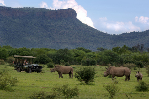 Marataba - Marakele National Park, Limpopo, South Africa-slide-12