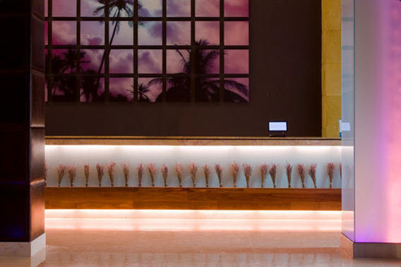 The Perry South Beach - Miami Beach, Florida - 4 Star Luxury Resort Hotel-slide-9