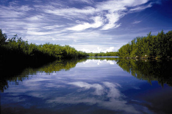 Rosewood Mayakoba - Riviera Maya, Mexico - 5 Star Luxury Resort & Spa-slide-9