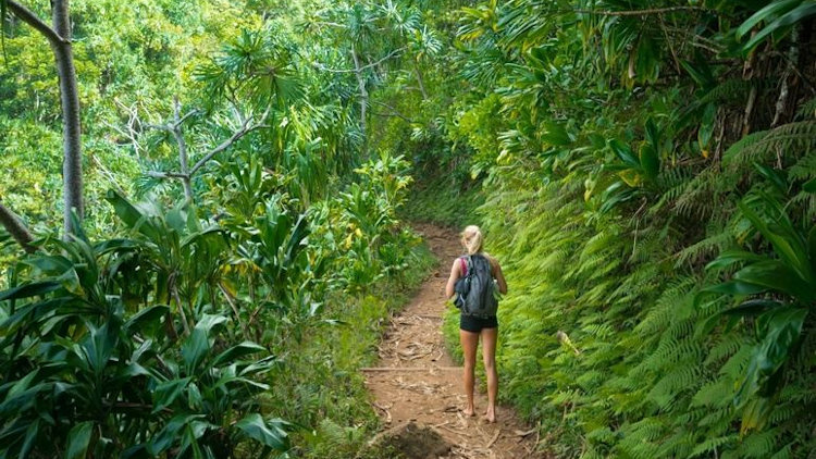 Come Together Wellness - Rest, Restore & Explore on Kauai-slide-10