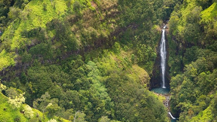 Come Together Wellness - Rest, Restore & Explore on Kauai-slide-11
