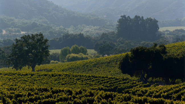 Bernardus Lodge & Spa - Carmel Valley, California - Luxury Resort & Winery-slide-13