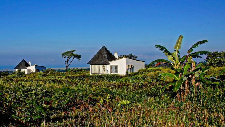 Royal Palm Resort, Galapagos National Park, Ecuador-slide-13